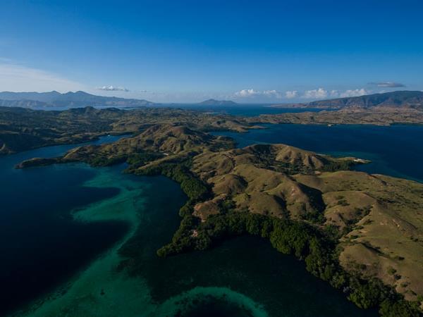 Kayaking holiday in Indonesia, Komodo Dragon tour