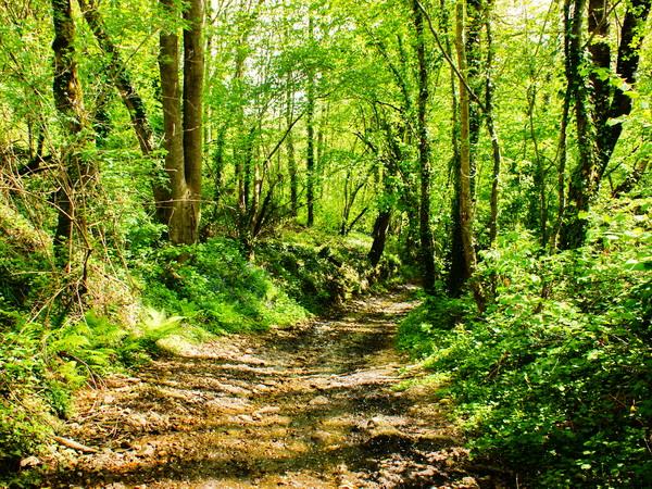 Self guided walking vacation in France