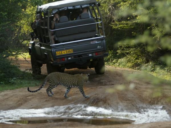 Sri Lanka boutique hotels vacation