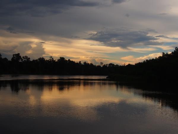 Tanjung Puting orangutan holiday, Borneo