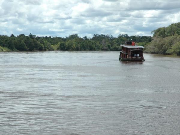 Tanjung Puting orangutan holiday, Borneo