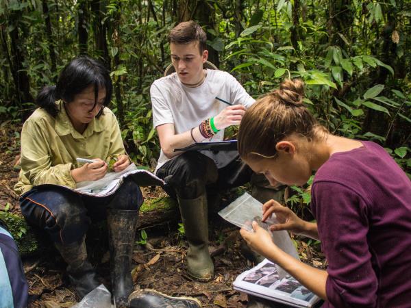 Amazon conservation project in Peru