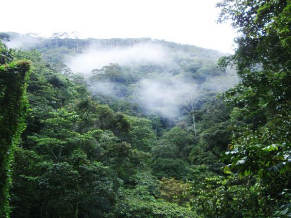 Papua New Guinea vacation, The Kokoda Trail