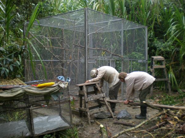 Wildlife volunteering in Bolivia