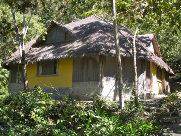 Wildlife volunteering in Bolivia