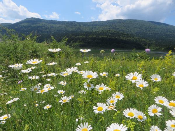 Plitvice Lakes family activity vacation in Croatia