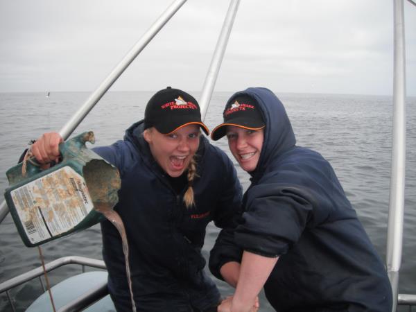 The great white shark conservation project in South Africa