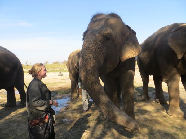Wildlife conservation holiday in India