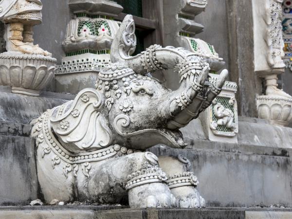 Cambodia holiday, wildlife & culture