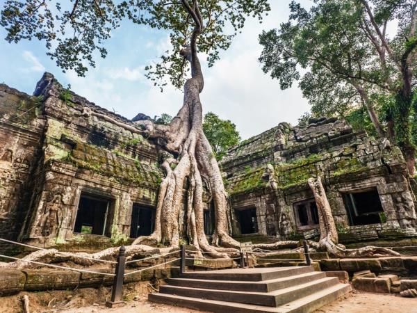 Cambodia holiday, wildlife & culture