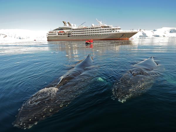 Luxury Antarctica cruise