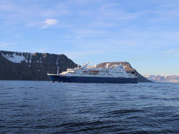 Northern lights and whale watching cruise in Iceland