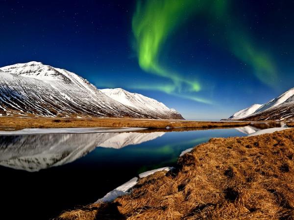 Northern lights and whale watching cruise in Iceland