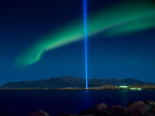 Northern lights and whale watching cruise in Iceland