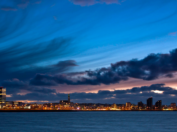 Northern lights and whale watching cruise in Iceland