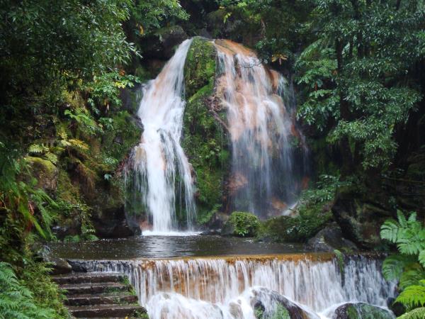 Azores activity holiday, incl swimming with dolphins