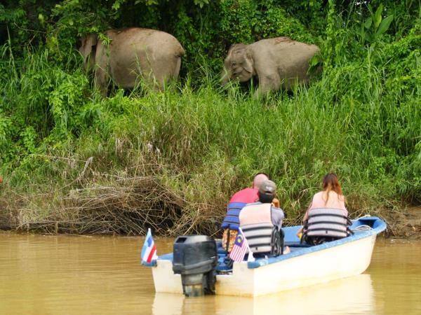 Borneo Wildlife Volunteer Project