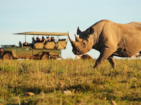Volunteer at The Shamwari Wildlife Reserve, South Africa