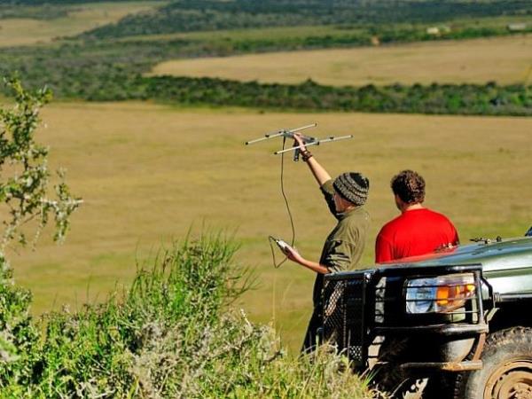 Volunteer at The Shamwari Wildlife Reserve, South Africa