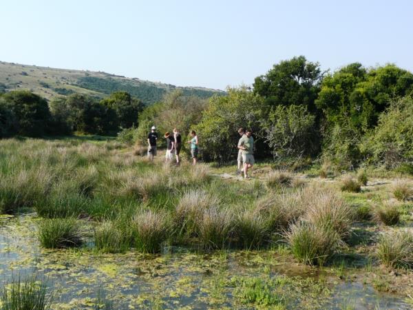 Volunteer at The Shamwari Wildlife Reserve, South Africa