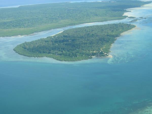 Whale Shark conservation vacation in Tanzania