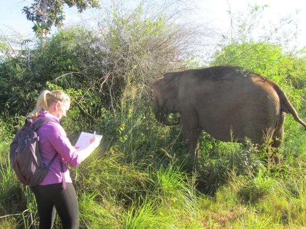 Elephant conservation vacation, Cambodia