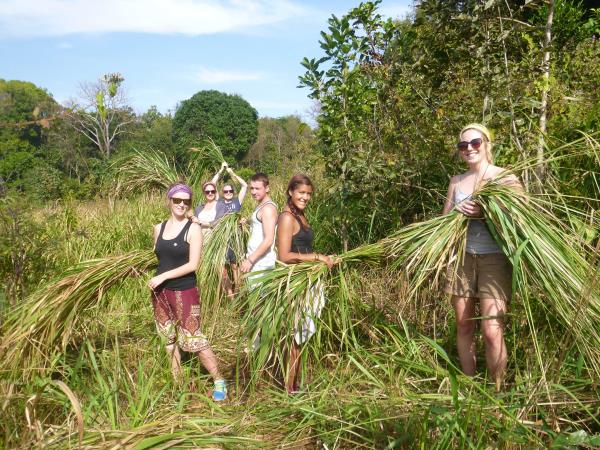 Elephant conservation vacation, Cambodia