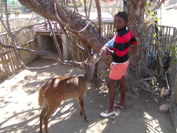 Wildlife orphanage volunteering in South Africa