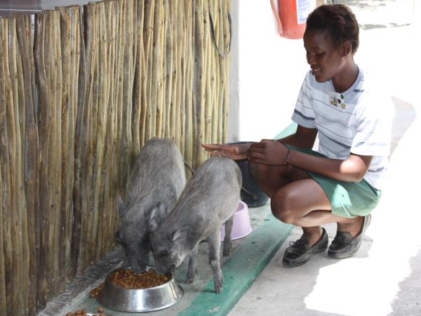 Wildlife orphanage volunteering in South Africa