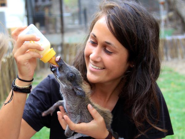 Wildlife orphanage volunteering in South Africa