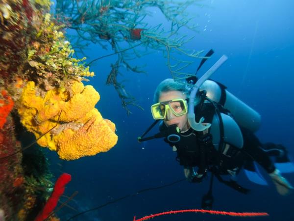 Reef conservation volunteering in Belize