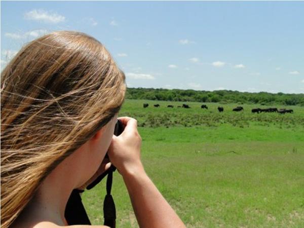 Zululand conservation project