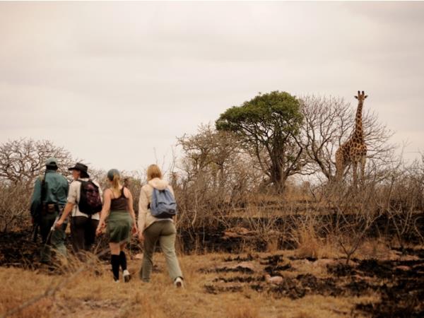 Zululand conservation project