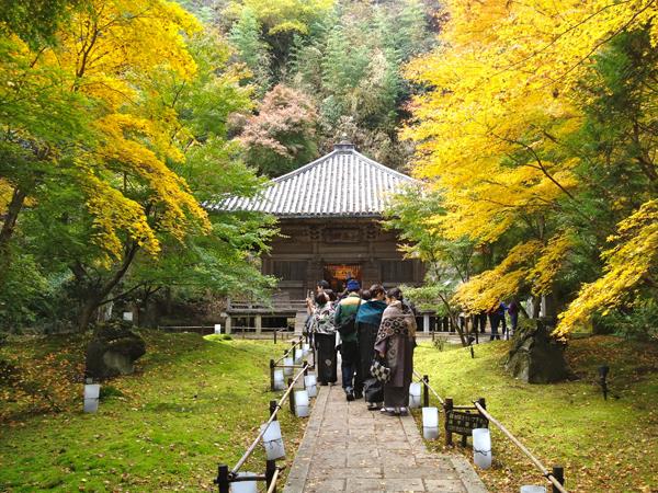 Northern Japan tour