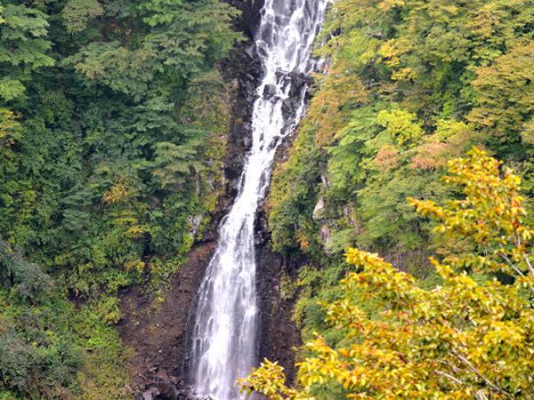 Northern Japan tour