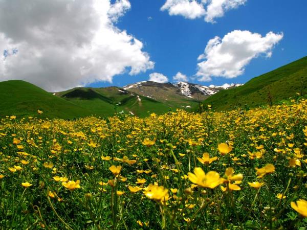Armenia vacation, private departure