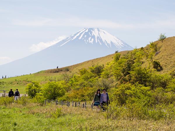Japan small group vacation by bullet train