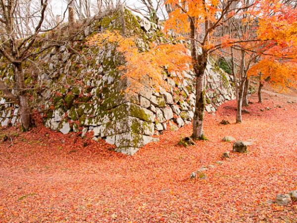 Japan small group tour, in the shadow of mountains