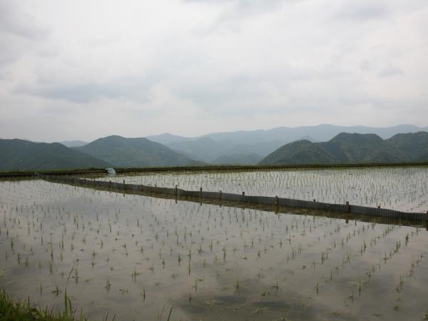 Kumano Kodo trekking vacation, Japan