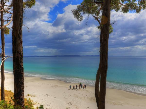 Tasmania coastal cruise