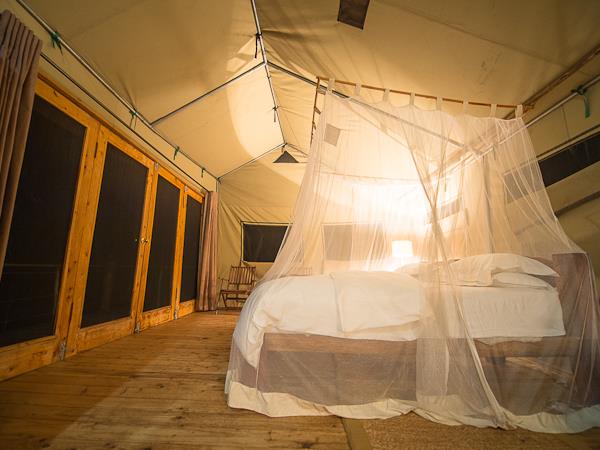 Botswana and Zimbabwe Ivory Route lodge tour