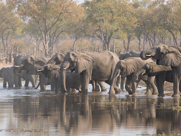 Botswana small group lodge safari