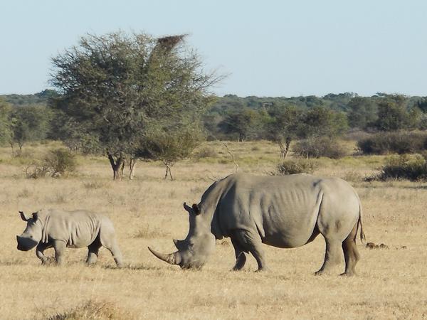 Botswana small group lodge safari