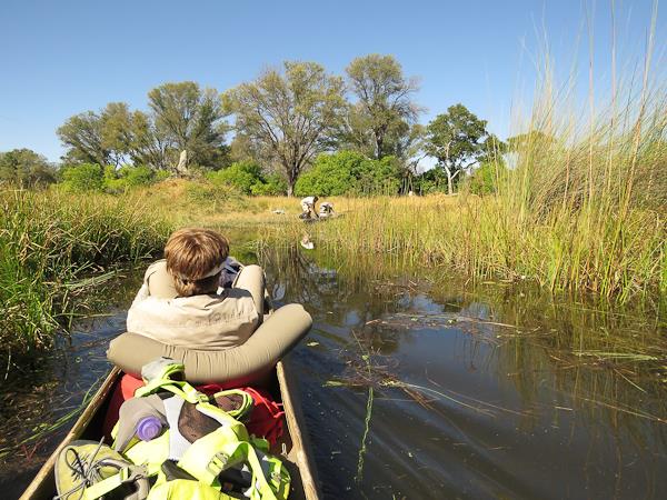 Botswana small group lodge safari