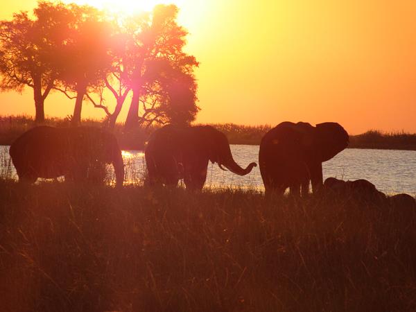 Cape Town to Victoria Falls small group lodge tour