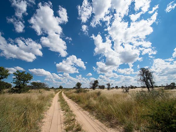 Kalahari desert expedition safari, Botswana
