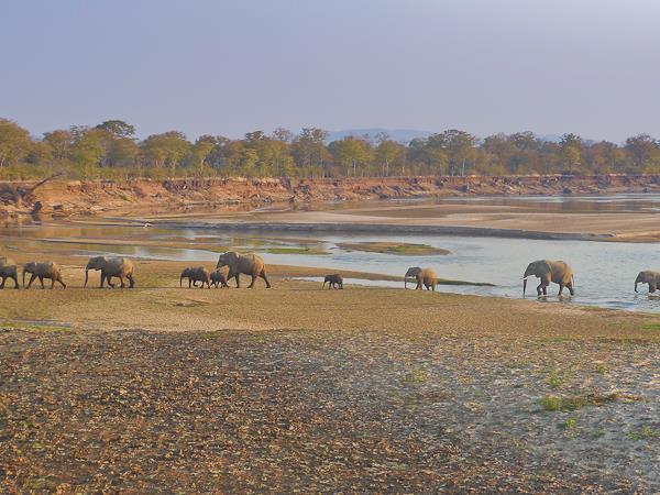 Northern Zambia Luangwa expedition
