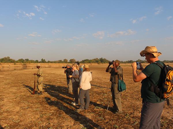 Northern Zambia Luangwa expedition