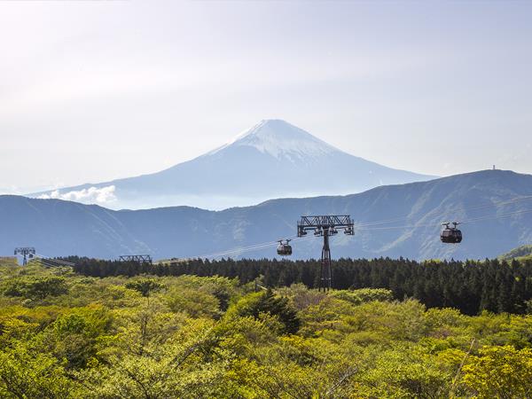 Japan honeymoon tour on a shoestring