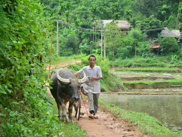 Vietnam family vacation